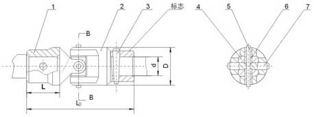 WS/WSD小型十字轴万向联轴器