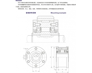 GCZ-B滚柱式单向离合器