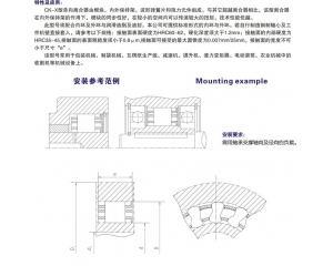 CK-X楔块式单向离合器