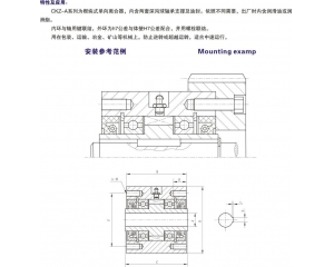 CKZ-A 楔块式单向离合器