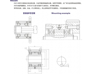 CKZ-B楔块式单向离合器
