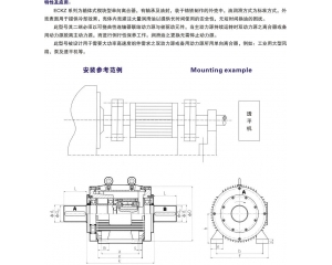 ECKZ楔块式单向离合器
