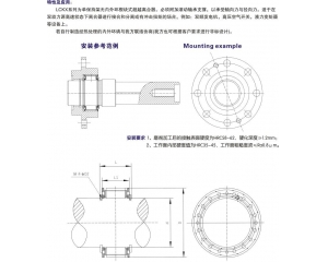 LCKX楔块式单向离合器