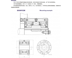 CKZ-F非接触式单向离合器