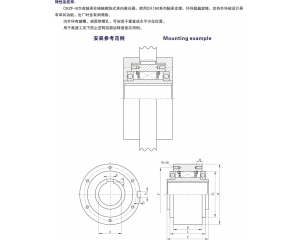 CKZF-B非接触式单向离合器