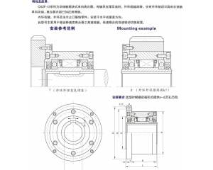 CKZF-D非接触式单向离合器